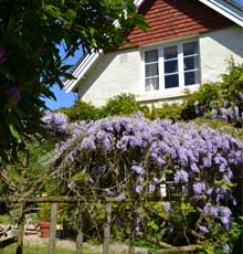 The Garden Cottage